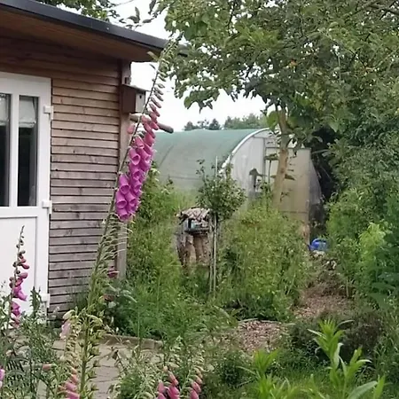 Fairschlafen - Gartenwohnung Bücken Extérieur photo