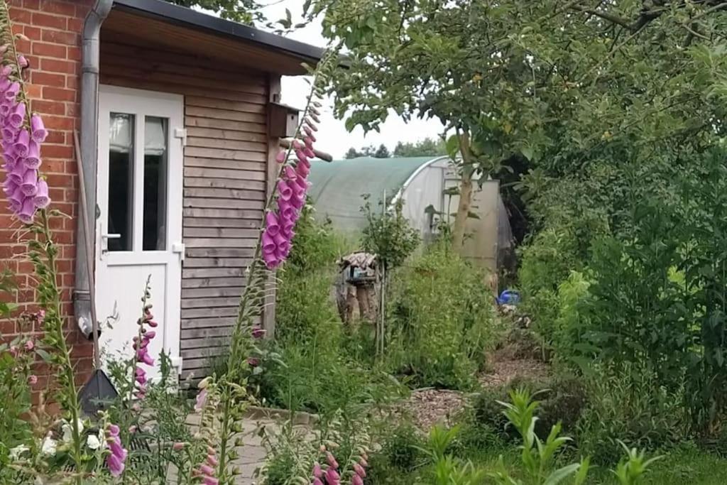 Appartement Fairschlafen - Gartenwohnung Bücken